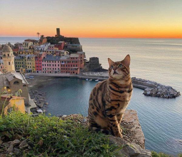 Appartamento Linda A Pochi Passi Dal Mare - 011030-Lt-0357 Vernazza Buitenkant foto